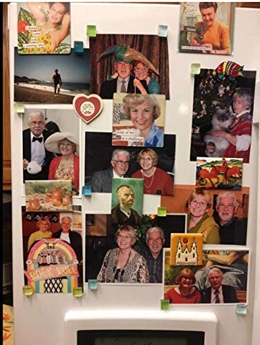 48-Pack Colorful Glass Fridge Magnets (24 Colors)