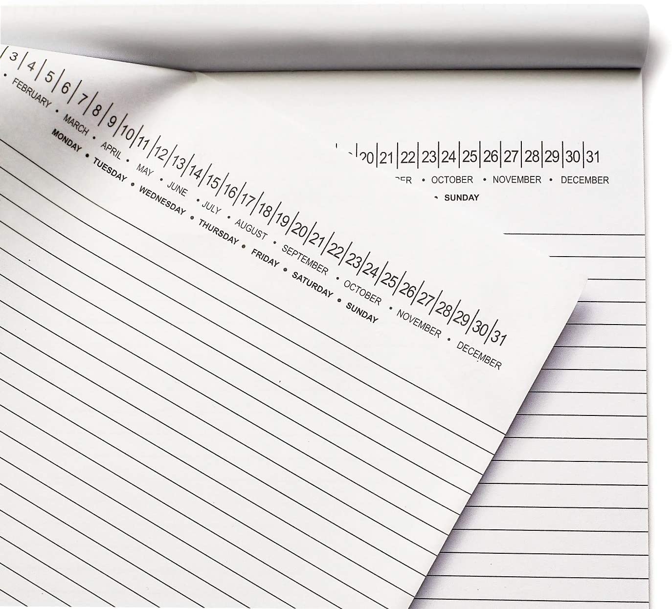 A4 Legal Pad Write Paper with Date 8-1/2" x 11-3/4"
